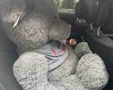 Yumşaq ayı oyuncaq