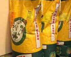 Bluemoon yonca toxumu