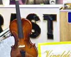 Skripka Vivaldi YV-1001