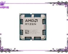 AMD Ryzen 9 9700X