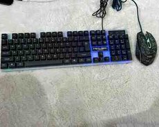 Klaviatura və kompüter siçanı