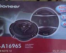 Pioneer dinamikləri