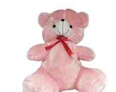 Yumşaq oyuncaqlar ayı 70sm