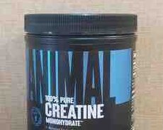 Animal Creatine qidası