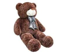 Parıltılı ayı 200SM