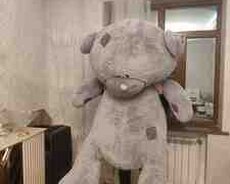 Oyuncaq ayı Teddy