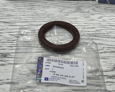 Chevrolet Malibu on salnik