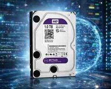 Sərt disk WD Purple, 1TB