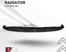 BYD Qin Plus mərkəzi radiator barmaqlığı