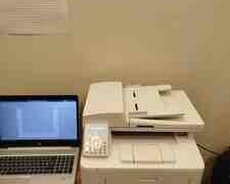 Printer HP LaserJet Pro MFP M227fdn