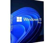 Lisenziya qutu Windows 11 Pro