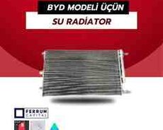 BYD Destroyer05, Qin Plus su radiatoru