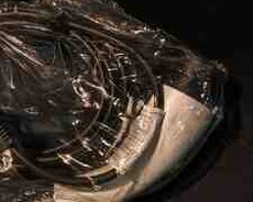 BYD, Changan şarj aləti