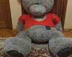 Oyuncaq ayı Teddy