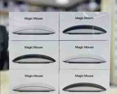 Apple Magic Mouse 4 Silver Type-C