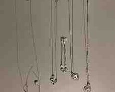 Gümüş boyunbağılar