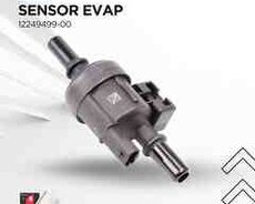 BYD sensor EVAP