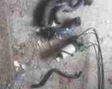 Fort Transit 2008 interkuller