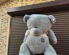 Oyuncaq ayı Teddy