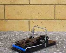 Siçan və siçovul tələsi