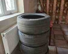 Continental şinləri