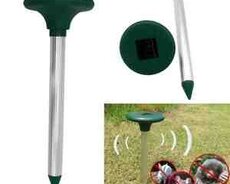 İlan qovan 200 kvmetr