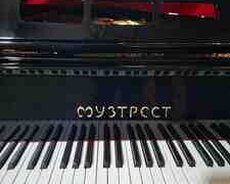 Роял Музтрес