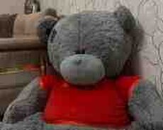 Oyuncaq ayı Teddy