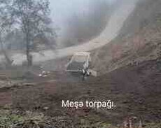 Qara torpaq və peyin