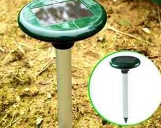 İlan qovan 850kv2metr