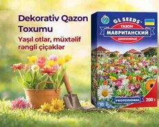 Çicəkli qazon toxumu