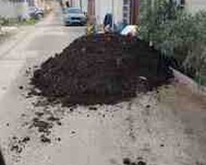 Qara meşə torpağı