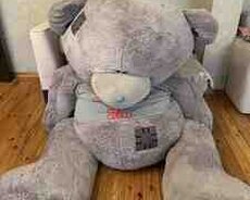 Oyuncaq ayı Teddy