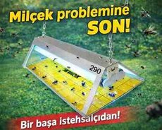 Milçək tələsi yapışqanlı