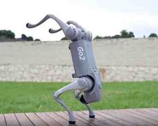 Unitree GO2 robot