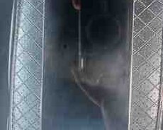 Xiaomi Redmi 12 Polar Silver 256GB, 8GB