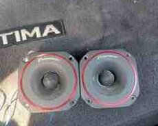 Maqnitola Pioneer pişalka