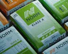 Sement NORM