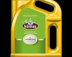 Humas 12 torpağ düzənləyici