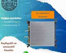 Hyundai, Kia su radiatoru