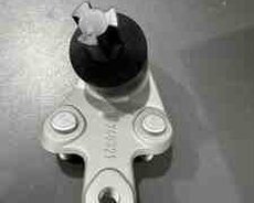 BYD asqının kürəcikli oynağı