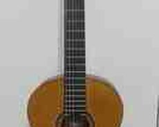 Gitara Valencia Established 1972