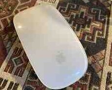 Apple kompüter siçanı