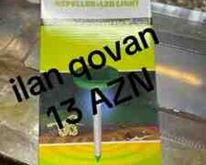 Ilan qovan