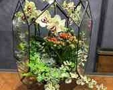 Florarium