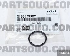 Hyundai elantra qabaq krisqanin salniki