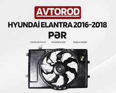 "Hyundai Elantra 2016-2018" pəri
