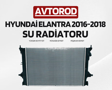 "Hyundai Elantra 2016/2018" su radiatoru