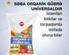 Gübrə Səba