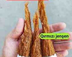 Qırmızı jenşen